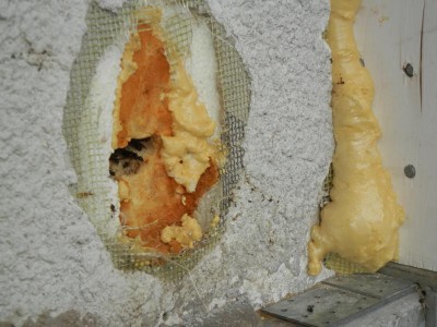DSCN4972.JPG (127.11 KiB) 25332 mal betrachtet Ameisen in der Hauswand5