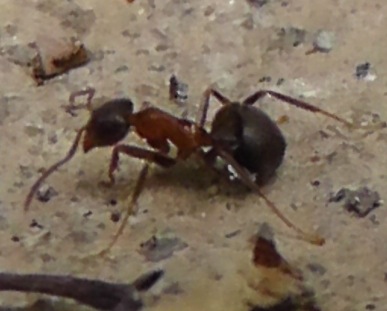 S1170021.JPG
