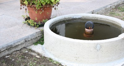 Die Ameisen mussten um das Wassergefäß herum laufen bzw. die die es nicht taten, gingen Baden. Gleich links von der Aufnahme befindet sich der BLumenkübel, wo die Ameisen auf Larven gestoßen sind