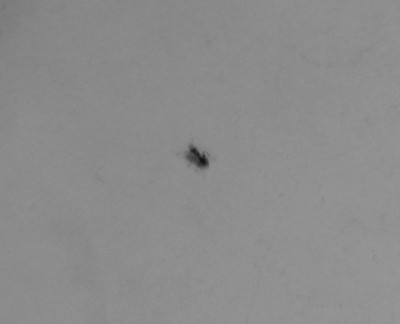 DSC_0818.JPG