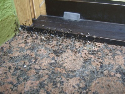 DSC06109.JPG (167.66 KiB) 52005 mal betrachtet linke äußere Ecke