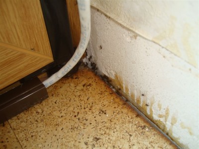 DSC06114.JPG (113.54 KiB) 51746 mal betrachtet Spalt innen