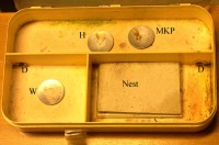 Bild 3: Formikar, Deckel geöffnet. H = Honigwasser; MKP = Mehlkäferpuppe; W = Wassernapf; D = Durchgänge.