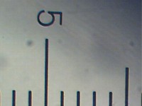 Bild 1: Das Mikrometer, mit Objektiv x3.2 aufgenommen. Der Abstand zweier Teilstriche beträgt 1/10 mm.