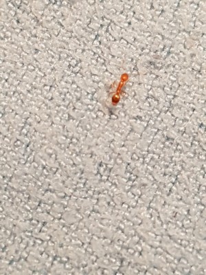 IMG-20171008-WA0000.jpg