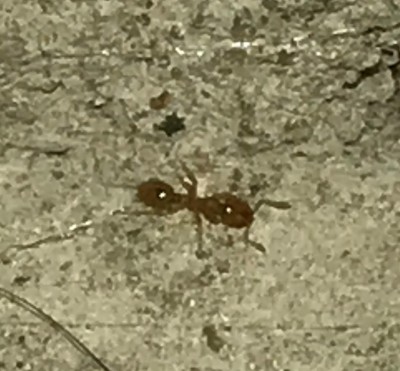 IMG_3935_kleiner.jpg