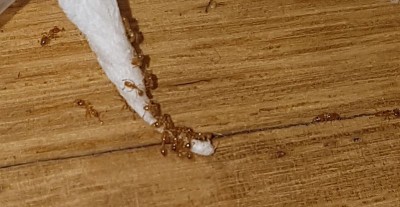 20180819_111738.jpg