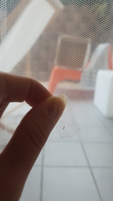 20180819_172921.jpg