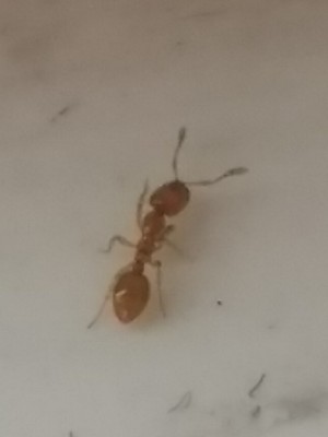 IMG_20180913_103805.jpg