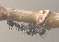 IMG_5.935.jpg