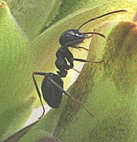 IMG_5948.jpg