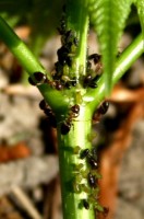 H21590.JPG