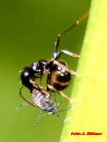 IMG_77.76.jpg
