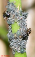IMG_77.35.jpg