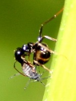 IMG_7776.jpg