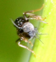IMG_776.9.jpg