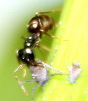 IMG_776.8.jpg