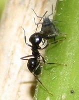 IMG_7792.jpg