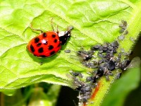 IMG_8.414.jpg
