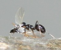 IMG_8289.jpg