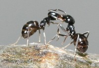 IMG_8300.jpg