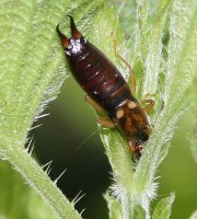 IMG_8.464.jpg