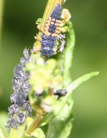 IMG_8377.jpg