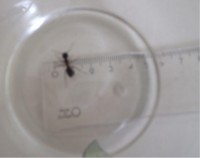 P5210074 geändert.JPG