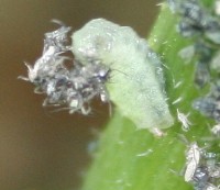 IMG_8.823.jpg