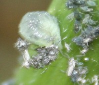 IMG_8.821.jpg
