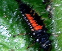 IMG_8403.jpg