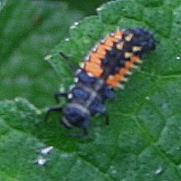IMG_8.722.jpg