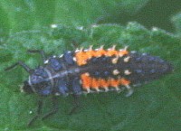 IMG_8.720.jpg