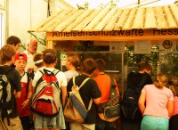 Schulungsleiter Dieter Bretz erläutert die Aktivitäten der Waldameisen im Formikarium.