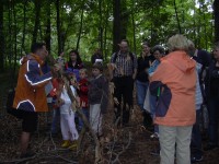 Temnothorax nistet in Bohrgängen von Käfern in abgebrochenen auf dem Waldboden liegenden Zweigen und Ästen sowie in hohlen Eicheln