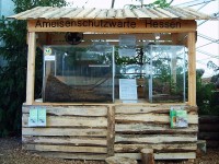 Das Formikarium mit Nestteil und Futterarena