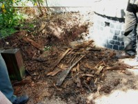 Bild 5: Nach der Tat: Die Reste der nach Ameisen durchwühlten Bänke. Noch feste Teile waren hier bereits als Feuerholz abtransportiert.