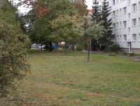 linker Bildrand = Hecke, rechts das Wohnhaus, Abstand Hecke &lt;=&gt; Haus ca. 25m