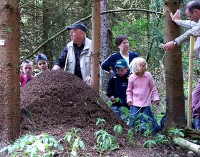 Bild 4: Die Temperatur im Nest wird gemessen.