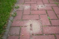 Weg neben der Wiese