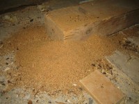 Das dabei entstandene Holzmehl