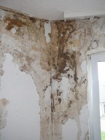 Gesamtbild der Wand