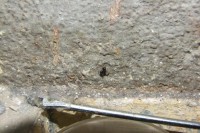 DSCF4259.jpg