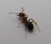 img_6844.jpg