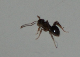 DSC_7422.jpg