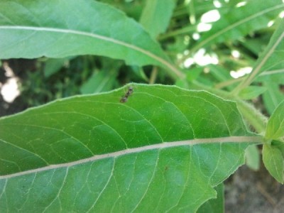 2011-05-21 14.38.53_600x600_100KB.jpg