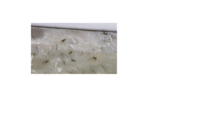 IMG_6863.png