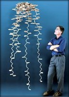 Walter Tschinkel aus Florida, USA, neben einem der von ihm ausgegossenen und ausgegrabenen Nester einer Ernteameisen-Art
